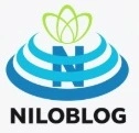  پايان نامه از ارائه موضوع